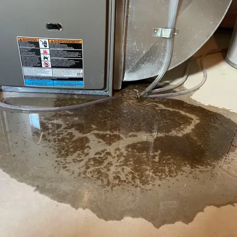 Appliance Leak Cleanup in Crab Orchard, WV